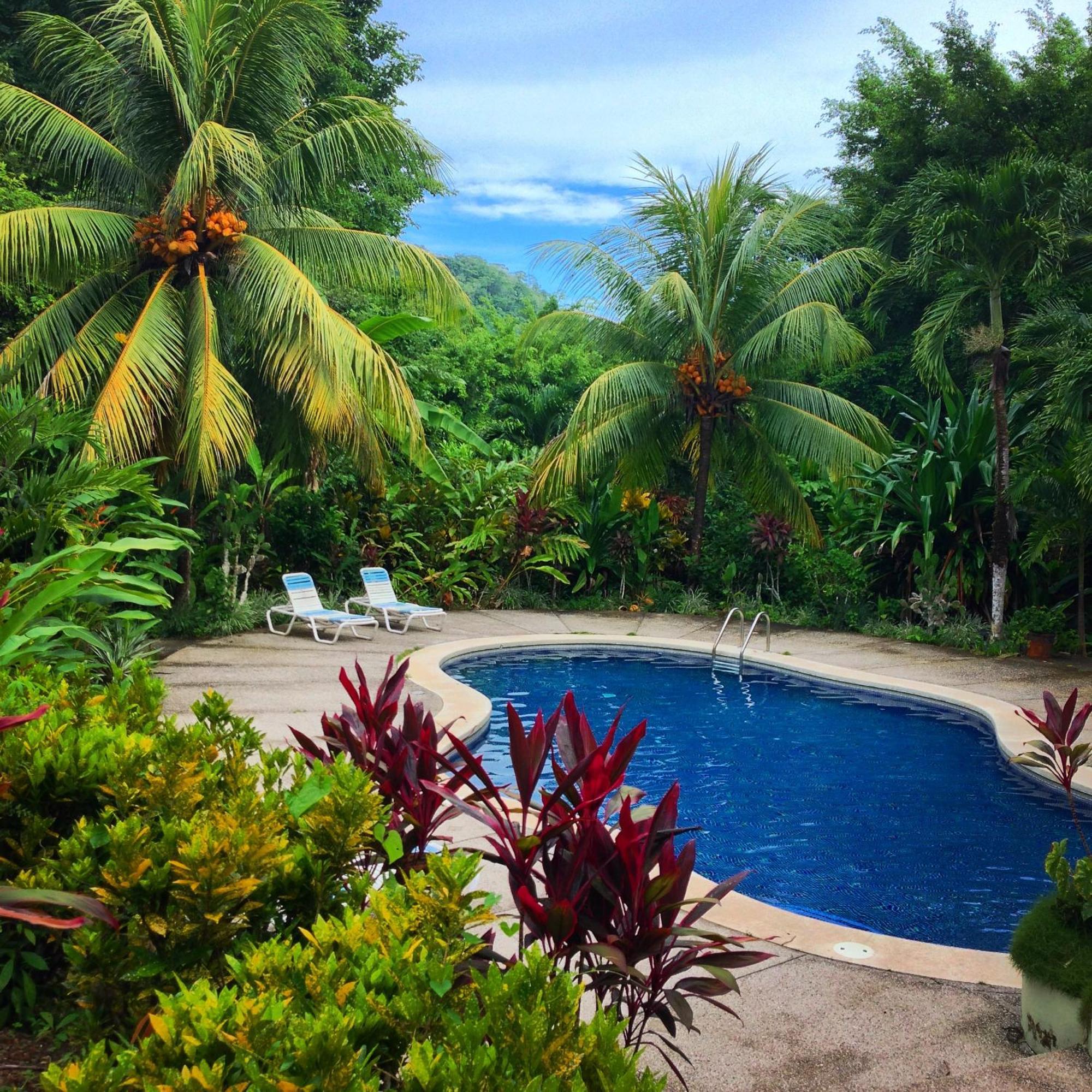 Star Mountain Jungle Lodge Malpais Exterior foto