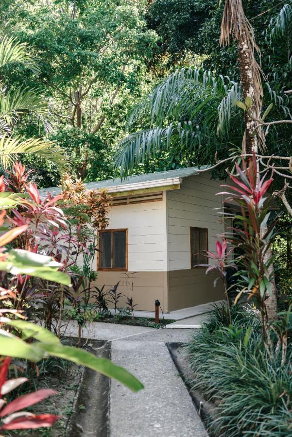 Star Mountain Jungle Lodge Malpais Exterior foto